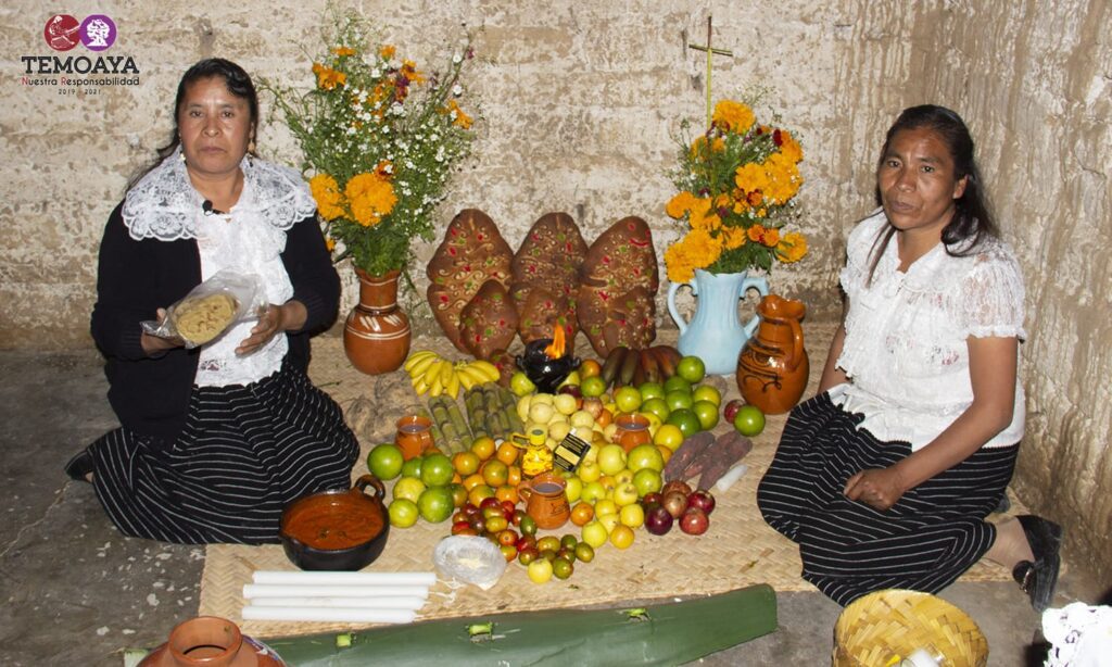 Celebración del Día de Muertos en la cultura otomí temoayense - Observador  Edoméx