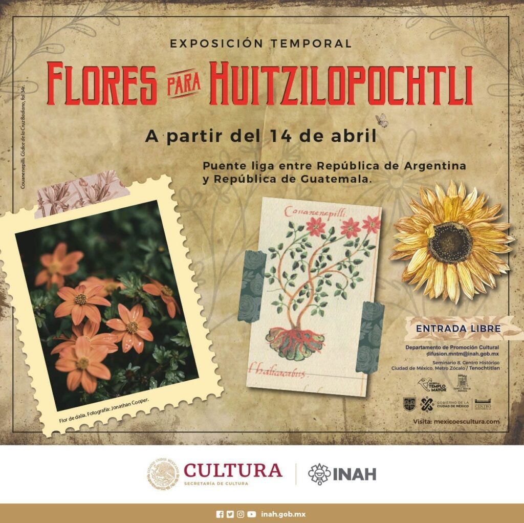 El INAH revela la función y el simbolismo de las flores en las ofrendas  mexicas - Observador Edoméx