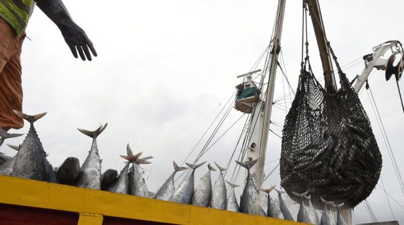 FAO/Sia Kambou Descarga de atún en el puerto de Abidjan, en Costa de Marfil.